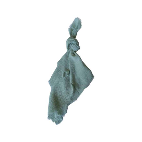 Mint Raw Linen Serviettes FG