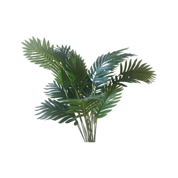 Palm Plant Without Pot 60cm-H